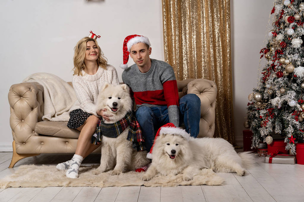 Happy loving young people and dogs posing near the Christmas tree - Photo, Image