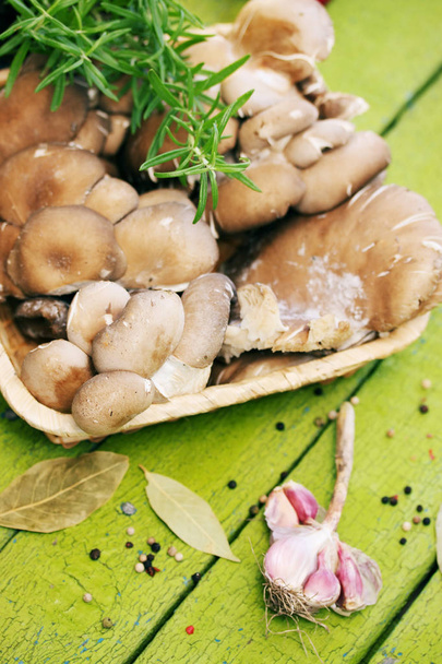 Oyster mushrooms in a wicker basket with rosemary - Фото, зображення