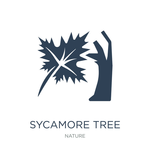 Sycamore tree pictogram vector op witte achtergrond, sycamore tree trendy gevuld iconen uit de collectie van de natuur - Vector, afbeelding