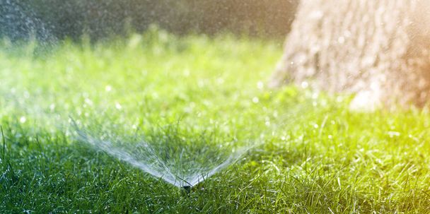 Zraszacz wody trawnikowej rozpylający wodę nad trawnikiem zielona świeża trawa w ogrodzie lub podwórku w upalny letni dzień. Koncepcja automatycznego nawadniania, konserwacji trawnika, ogrodnictwa i narzędzi. - Zdjęcie, obraz