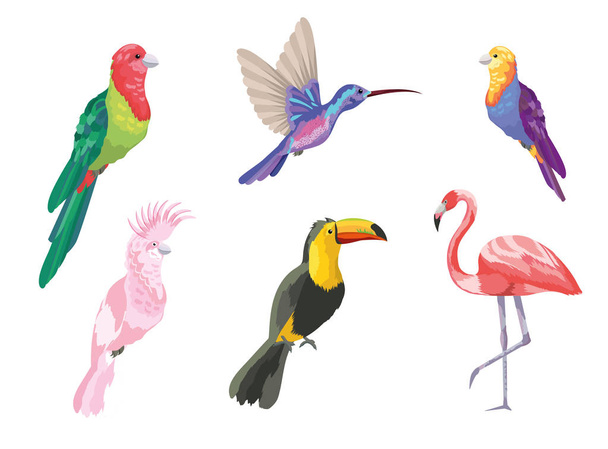 Ορίστε τροπικά πουλιά εξωτική φύση εικονογράφηση διάνυσμα - Διάνυσμα, εικόνα