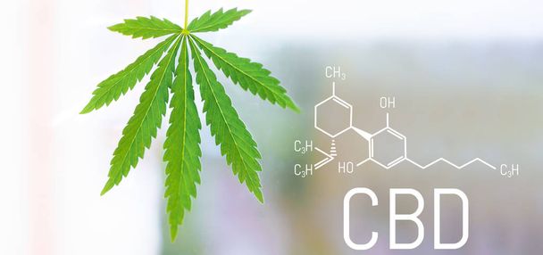 CBD Fórmula química, belo fundo de flores de cannabis verde Um lugar para espaço de cópia
 - Foto, Imagem