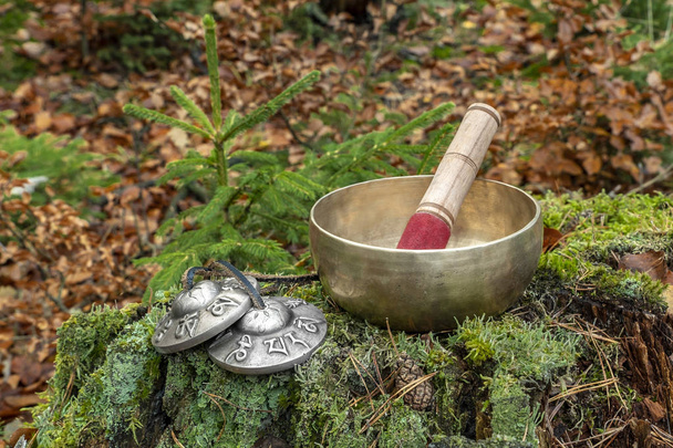 A Himalayan singing bowl and tingsha bells photographed in the forest on a decaying tree stem covered with mosses - 写真・画像