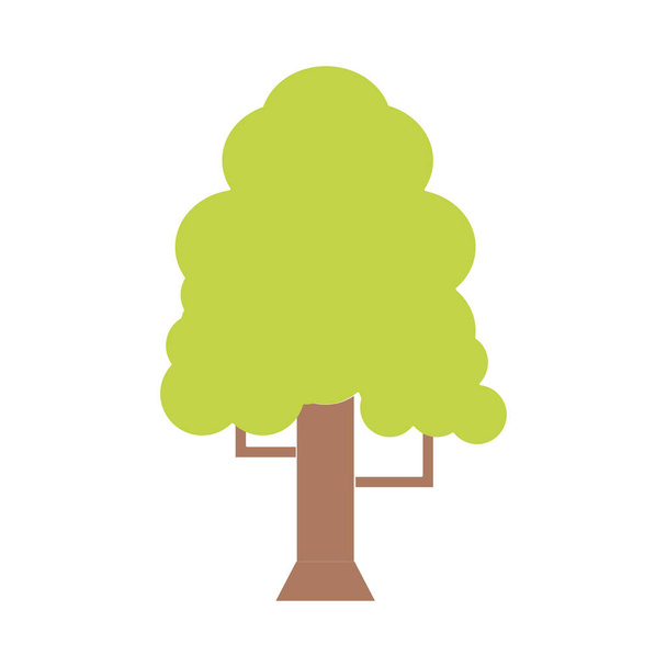 natuurlijke boom met takken met ecologie zorg vectorillustratie - Vector, afbeelding