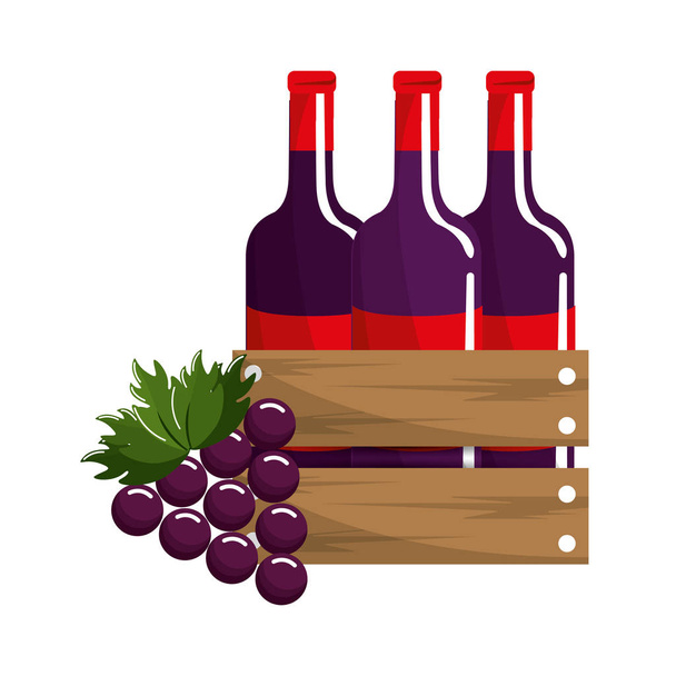 Flaschen Wein und Traubenfrüchte lecker, Vektorillustration - Vektor, Bild