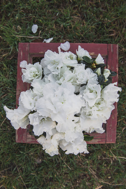 Spring.White kukkia potin ruohonjuurilla.Valokuva koostumuksen kasvi kannu, kuppi ja laatikko ikkunasta.Aamu sun.Azalea
 - Valokuva, kuva