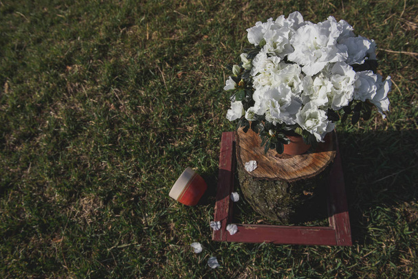 frühling.weiße Blumen in einem Topf auf dem Rasen. Foto einer Komposition aus einer Pflanze in einem Krug, einer Tasse und einer Schachtel aus dem Fenster. - Foto, Bild