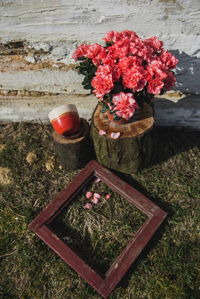 春の組成物。家の壁の背景に鍋にピンクの花。木製の白い壁の背景フレームを持つ植物します。日当たりの良い、暖かい写真です。ツツジ - 写真・画像