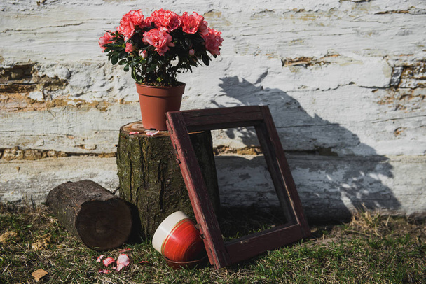 De samenstelling van het voorjaar. Roze bloemen in een pot op de achtergrond van de muur van het huis. Plant met frame op de achtergrond van een houten witte muur. Foto: zonnig en warm. Azalea - Foto, afbeelding