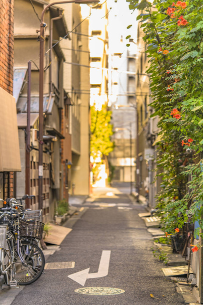 壁は葉と山手線神田駅に隣接する小さな路地でノウゼンカズラ科花ホーン トランペットつるで覆われています。通りで 300 メートル以上、100 ショップ. - 写真・画像