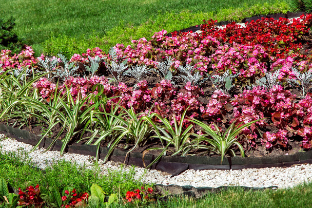 kwietnik z czerwonymi kwiatami i liściaste kwiatów ze ścieżką pokryte kamykami, projektowanie krajobrazu z bliska zielonego trawnika i roślin. - Zdjęcie, obraz