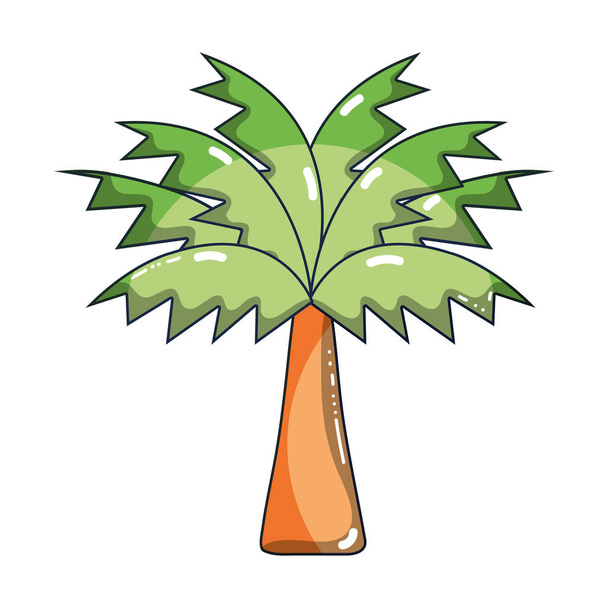 palmu lehdet ja kasvillisuuden vektori kuva
 - Vektori, kuva