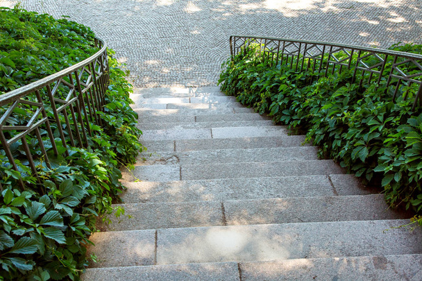 kamienne schody z balustrady żelaza, w dół od góry, liściaste krzew loki w okolicy: Poręcze. - Zdjęcie, obraz
