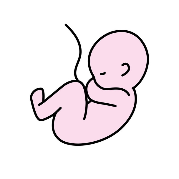 nice baby with umbilical cord vector illustration - Vector, Image