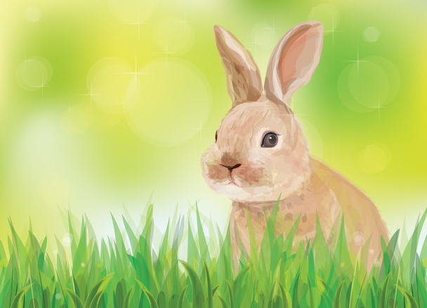 Vector of spring background with rabbit in green grass. - Vector, Image