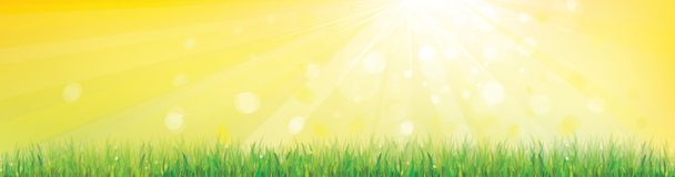 Vector of sunny sky background with grass. - Vector, Image