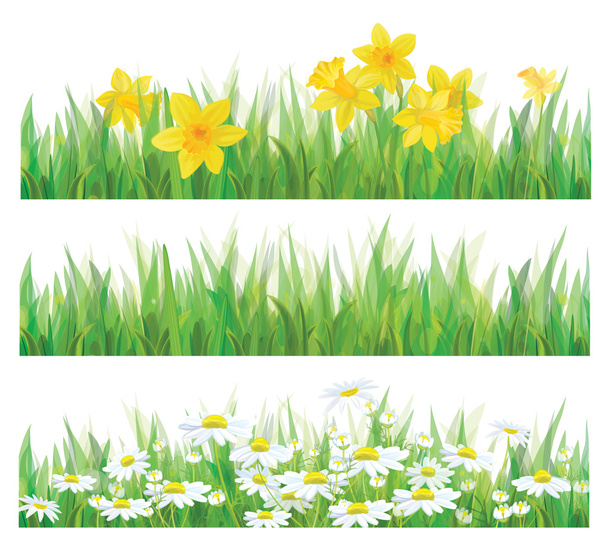 Vector of daffodil flowers, grass and chamomiles isolated for spring and Easter design. - Vector, Image