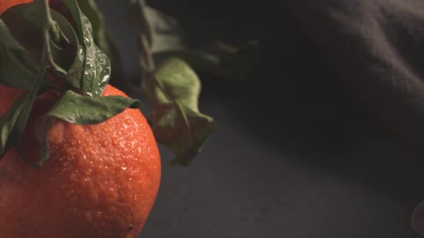 Fresh mandarin oranges or tangerines with leaves on textured dark background - Materiał filmowy, wideo