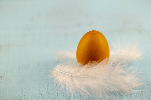 Пасхальные яйца с белыми перьями на деревянном фоне
 - Фото, изображение