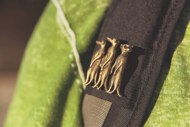 Brosche, auf der drei Mungos stehen. Symbol mit Tieren. Rucksackgurt auf dem Hintergrund einer grünen Jacke. Metallabzeichen am Gurt des Rucksacks. Mungo. - Foto, Bild