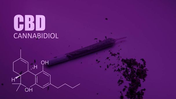 Cannabidiol Cbd σε στελέχη μαριχουάνα. Ιατρική κάνναβη για τους ανθρώπους  - Φωτογραφία, εικόνα