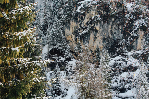 Beautiful view on alpen mountain and trees in sunny winter day - Φωτογραφία, εικόνα