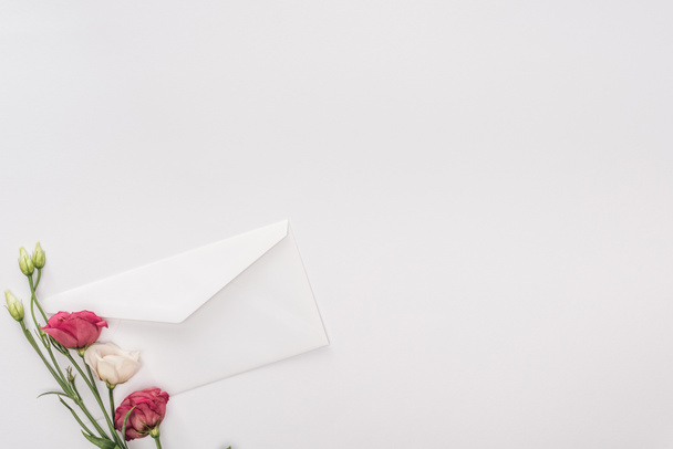top view of envelope and flowers isolated on white with copy space - Photo, Image