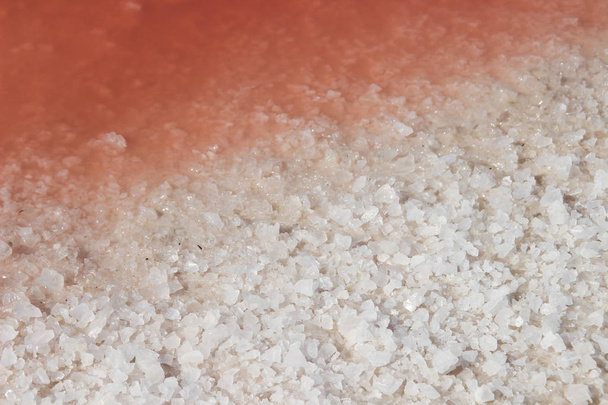 大きな塩の結晶と珍しいピンク色の塩辛い水をクローズ アップ - 写真・画像