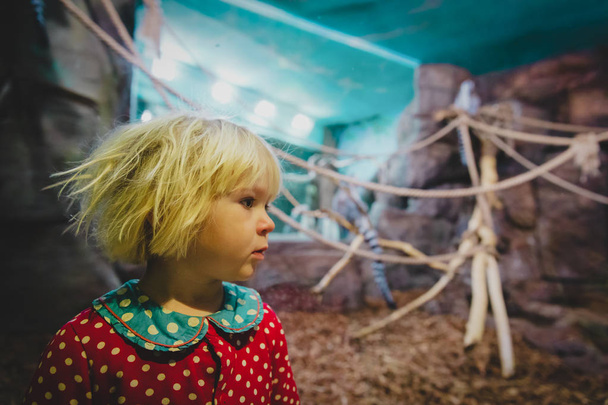 schattig klein meisje geniet van reis naar de dierentuin, kijken naar dieren - Foto, afbeelding