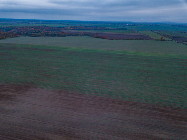 Widok z lotu ptaka z niewyraźne zielony pole rolne - Zdjęcie, obraz