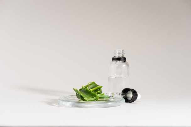 Estudio con toma de hojas frescas de aloe vera y una pequeña botella de vidrio
 - Foto, imagen