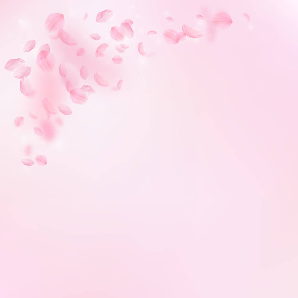 Pétalos Sakura cayendo. Flores rosas románticas  - Vector, imagen