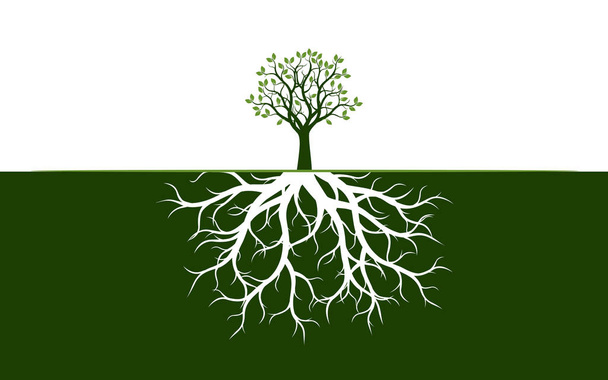 Árbol con hojas y raíces. Ilustración vectorial. Planta y Jardín
. - Vector, Imagen
