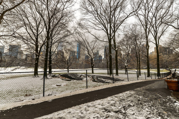 Ранок після снігопад в центральному парку - Фото, зображення