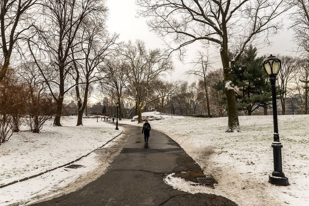 / Нью Йорк, США - 01, 18, 19 - вранці після снігопад в центральному парку - Фото, зображення