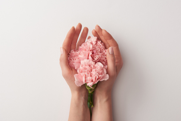 foto recortada de mujer sosteniendo hermosas flores rosadas aisladas en gris
  - Foto, imagen