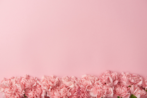 ylhäältä näkymä kaunis tarjous neilikka kukkia eristetty vaaleanpunainen tausta
    - Valokuva, kuva