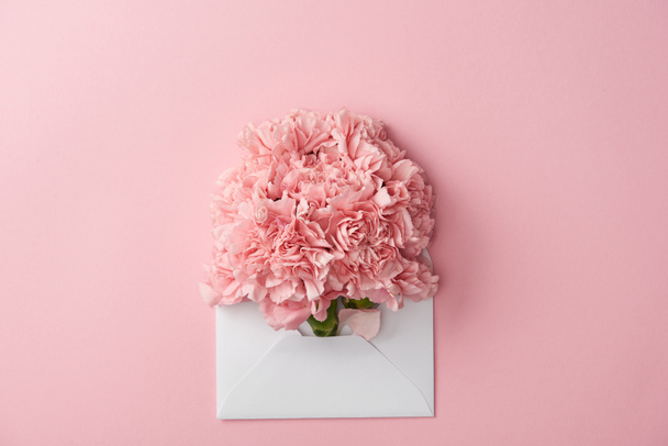 bellissimi fiori di garofano rosa e busta bianca isolata su rosa
 - Foto, immagini