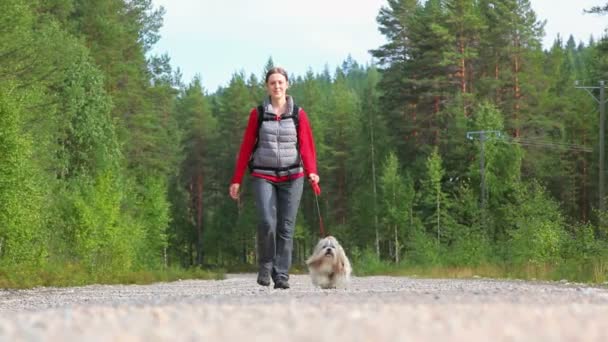 道路の上を歩く犬を持つ若い女性. - 映像、動画