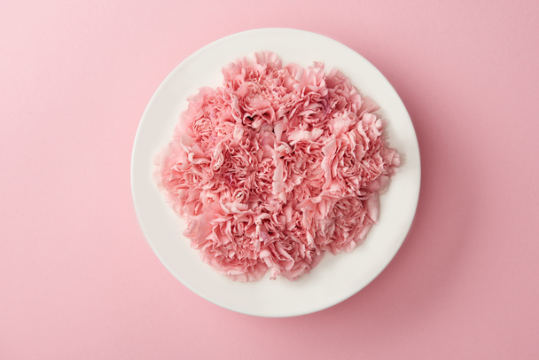Draufsicht auf schöne rosa Blumen auf weißem Teller isoliert auf rosa Hintergrund - Foto, Bild