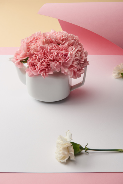 vue rapprochée de belles fleurs d'oeillet rose tendre en théière blanche
 - Photo, image