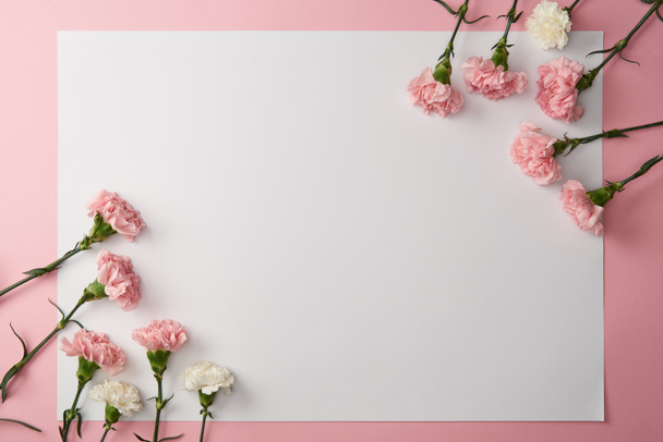 krásné růžové a bílé květy karafiátu a prázdné vizitky na růžovém pozadí  - Fotografie, Obrázek