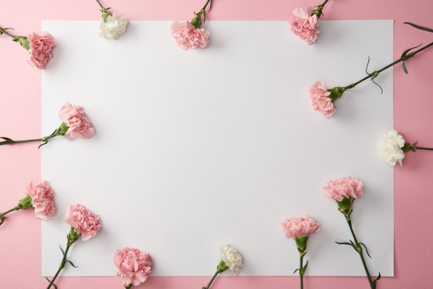 top view of beautiful carnation flowers and blank card on pink background - Photo, Image