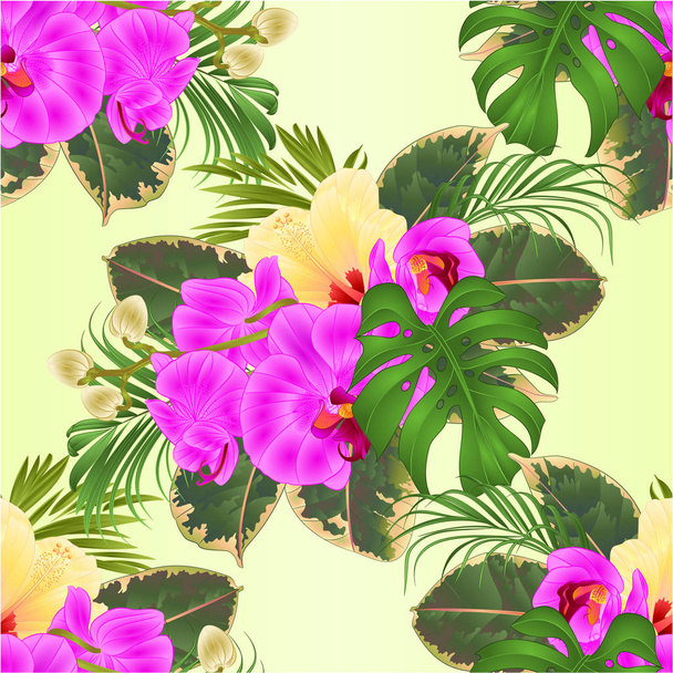 Saumaton rakenne kukkakimppu trooppisia kukkia kukka-asetelma, kaunis orkidea ja hibiscus, kämmen, philodendron ja ficus vintage vektori kuva muokattavissa käsi piirtää
  - Vektori, kuva