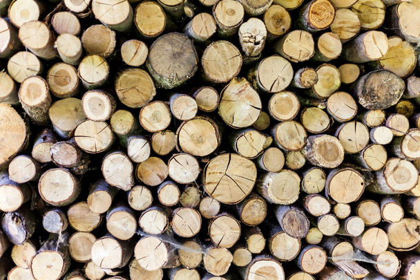 extremidades de troncos fundo de madeira. tonificação. madeira na pilha. - Imagem
. - Foto, Imagem
