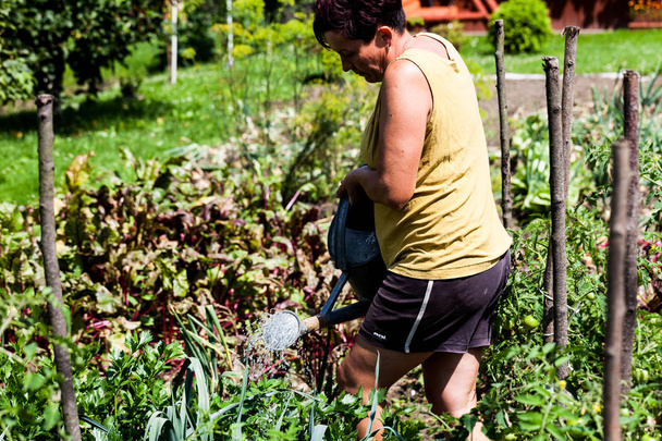 Portré egy nőt öntözés a növények, növényi kertben. A hölgy dolgozik kemény növekvő növények a szabad sokat. Háztáji gazdálkodás támogatása. Bio-öko farm ötlet. - Fotó, kép