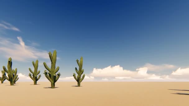 Ccacti a sivatagban, a por háttér. Sivatagi táj. Természet tájkép. 4k - Felvétel, videó