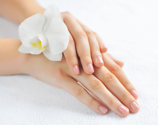 Beautiful woman hands with white orchid flower - Fotografie, Obrázek