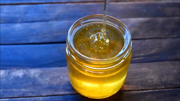 honey in a glass jar - Footage, Video