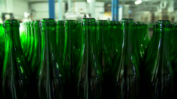 工場のベルトコンベアにシャンパンのボトル - 映像、動画